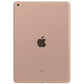 Apple iPad 7th Gen (Retina | Wi - Fi + Cellular | Late 2019) 10.2" - 128 GB - Gold | TekReplay