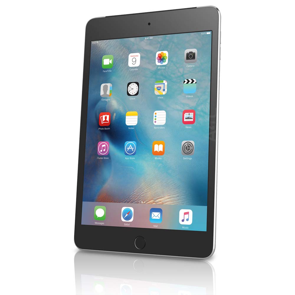 Apple iPad mini 4th Gen (Retina | Wi - Fi Only | Late 2015) 7.9 - 128 GB - Space Gray | TekReplay