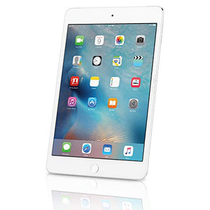 Apple iPad mini 4th Gen (Retina | Wi - Fi Only | Late 2015) 7.9 - 64 GB - Silver | TekReplay