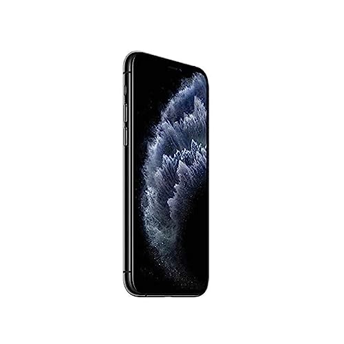Apple iPhone 11 Pro (Fully Unlocked) - Space Gray - 64 GB | TekReplay