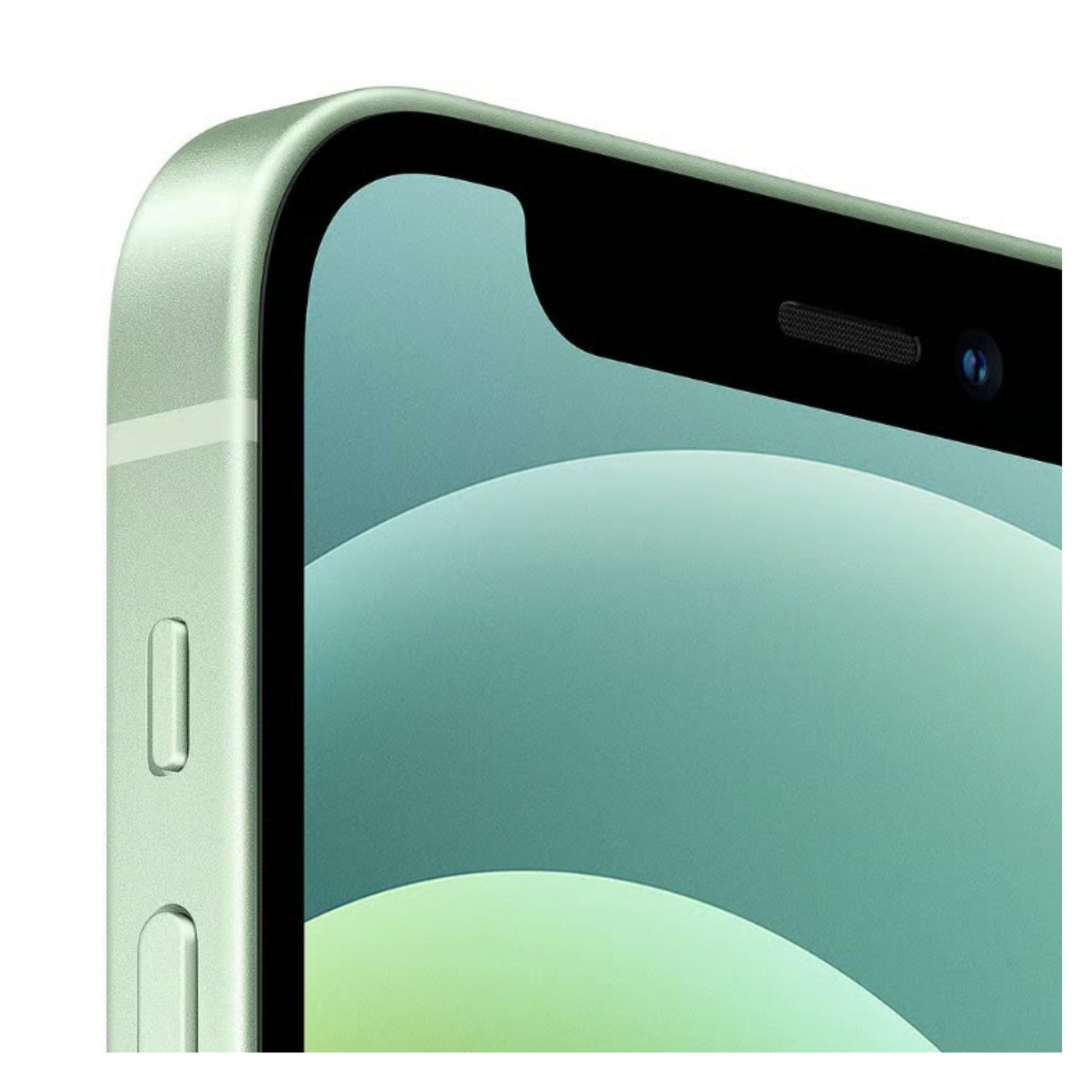 Apple iPhone 12 mini (Fully Unlocked) - Green - 128 GB | TekReplay