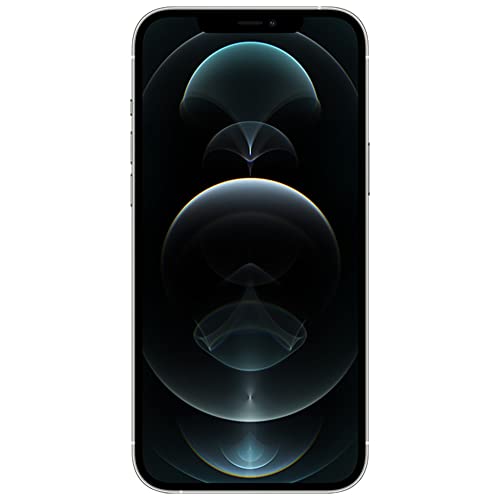 Apple iPhone 12 Pro Max (Fully Unlocked) - Silver - 512 GB | TekReplay