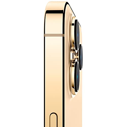 Apple iPhone 13 Pro Max (Fully Unlocked) - Gold - 1 TB | TekReplay