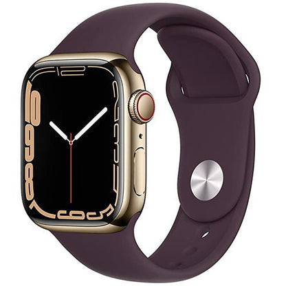 Apple Watch Series 7 (Stainless Steel Case | 45mm | Late 2021) | TekReplay