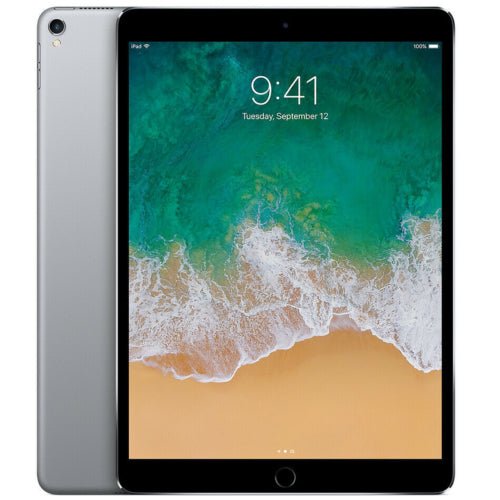 Apple iPad Pro (1st Gen) 256GB - Wi-Fi + Cellular Unlocked - 10.5" - Space Gray - (2017) - TekReplay